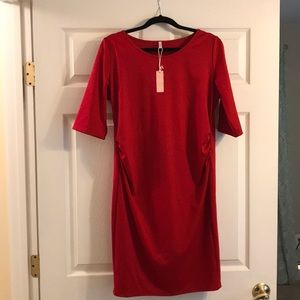 Pink Blush Maternity Dress